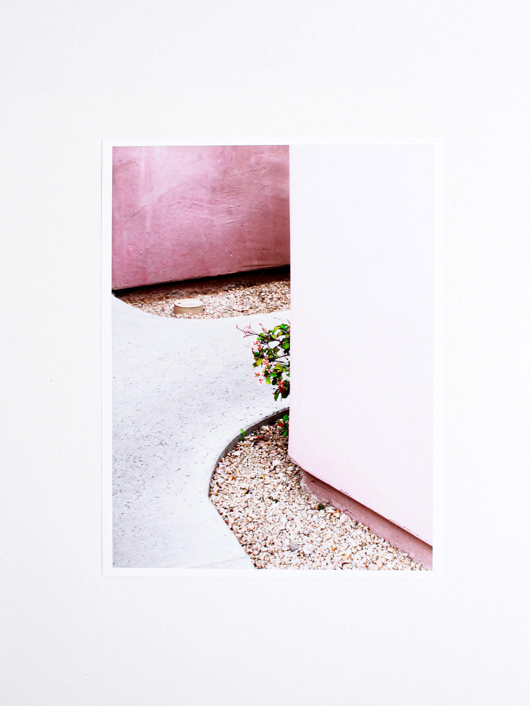 Flower Peek Print - Debbie Carlos - Berte