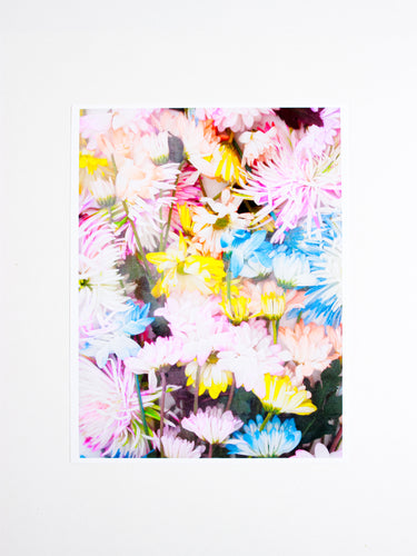 Pressed Flowers Print - Debbie Carlos - Berte